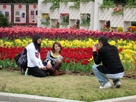 Flower paparazzis