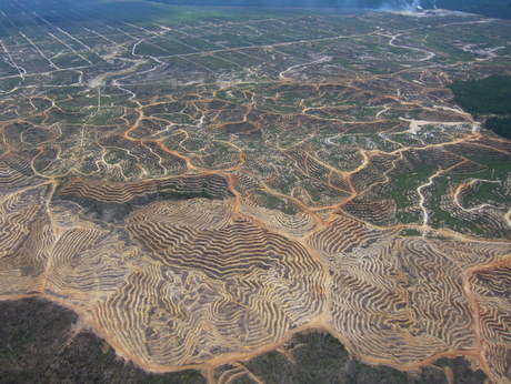 Sarawak from the sky