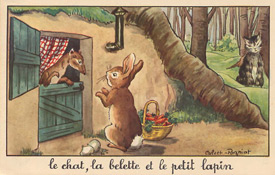 Chat, Lapin, Belette