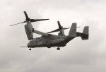 osprey.jpg
