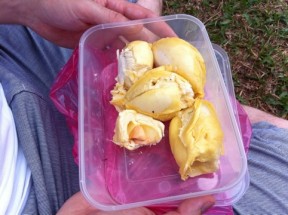 20110629-190843.jpg